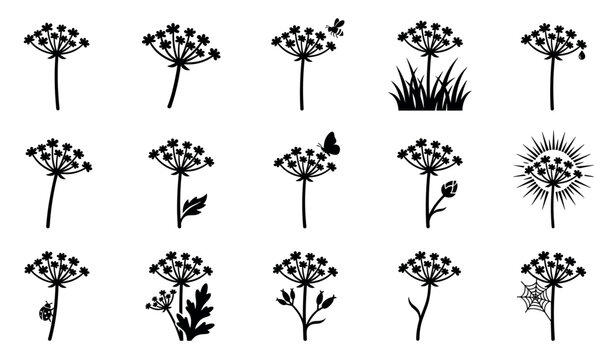 Collection of black silhouette cow parsley flowers with various natural elements, presented as simple graphic icons