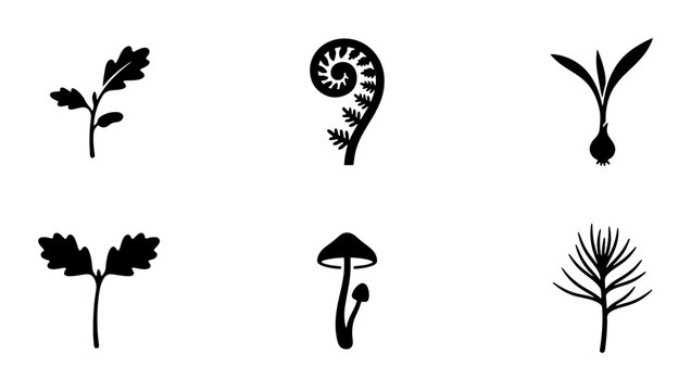 Botanical Vector Icons: Oak Leaves, Fern Frond, Sprout, Mushroom, Pine Sprig Set