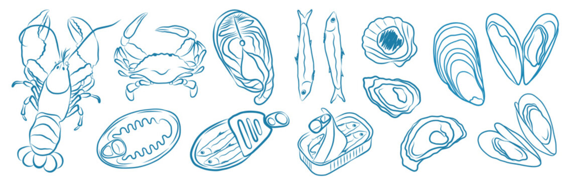 seafood outline Mediterranean italian lobster, crab, various fish, oysters, mussels and canned sardines anchovies hand drawn illustrations restaurant menu