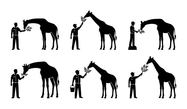 Giraffe Feeding Silhouettes: Man Offering Leaves, Zoo Keeper Interaction, Wildlife Care Vector Set