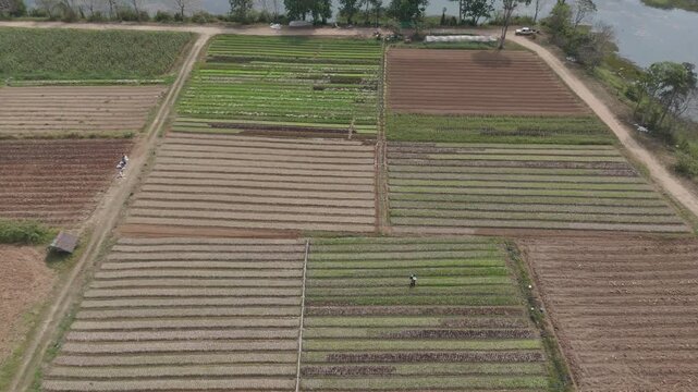 Drone footage aerial view of scenic landscape of agriculture farm in rural country