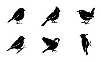 Fototapeta premium Six Silhouette Bird Icons, Vector Set: Cardinal, Wren, Sparrow, Woodpecker, Small Birds