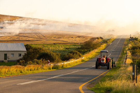 agricultural burning after harvest, tractor in foreground, western cape, South Africa