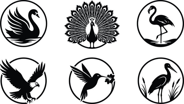 Elegant Black Bird Silhouette Icons Set Featuring Swan Peacock Flamingo Eagle Hummingbird and Heron Symbols Inside Circular Frames for Modern Logos