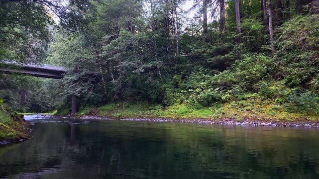 Wide view of a cold calm river flowing beneath small bridge surrounded by dense green forest with soft natural light illuminating the sky