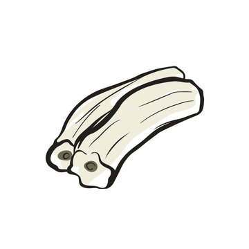 麻辣湯のトッピング・ブンモジャの手書きイラスト