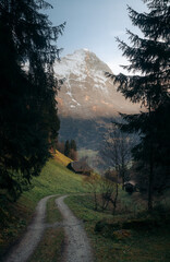 Fototapeta premium Autumn mountain scenery in the Swiss Alps with famous Eiger Nordwand illuminated in golden evening light sunset, Grindelwald, Switzerland