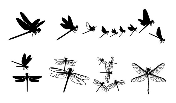 Dragonfly Silhouette and Flying Insect Vector Illustration Set