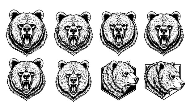 Bear Head Engraving Style Vector Illustration Collection