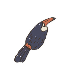 Fototapeta premium Textured vector illustration of isolated tropical toucan bird with bright orange beak. Hand drawn exotic wildlife sticker graphic