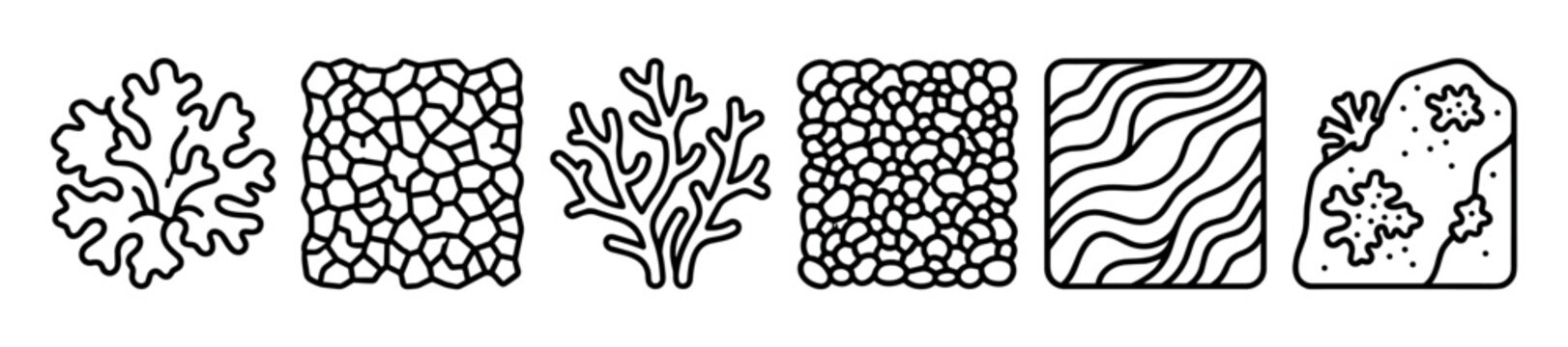 Various black outline coral and algae shapes are arranged in a row, featuring diverse organic textures and patterns