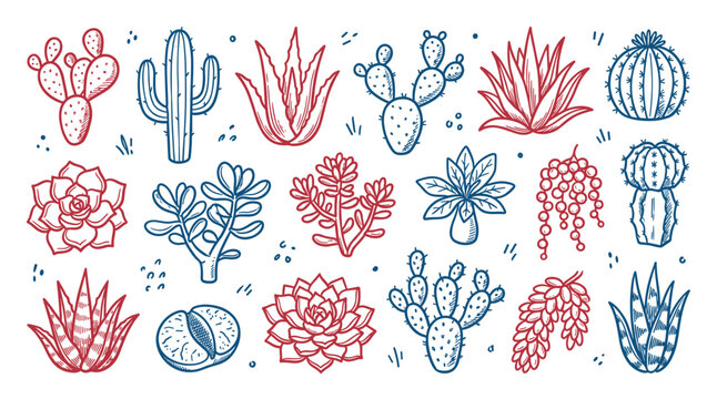 Hand-drawn red and blue succulent and cactus plants in a charming doodle style, creating a vibrant botanical pattern