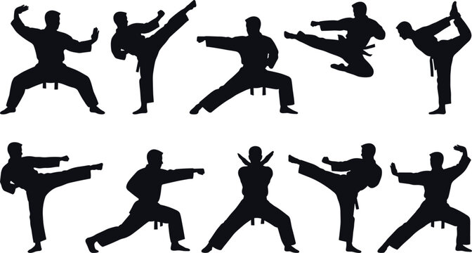 Martial arts silhouettes in dynamic combat poses against a white background for athletic concepts