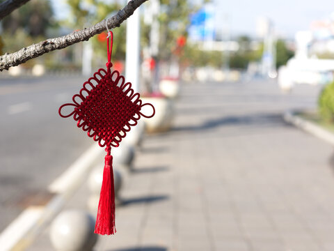 Red String Ornament Hanging From Branch
