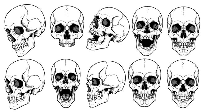 Human skull vector set with 10 anatomical illustrations. Black and white line art skulls in various angles and expressions. Gothic cranium head bone collection.
