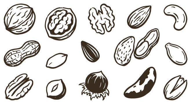 Various hand-drawn nuts and seeds including walnuts, peanuts, almonds, and cashews, creating a rustic, natural food pattern