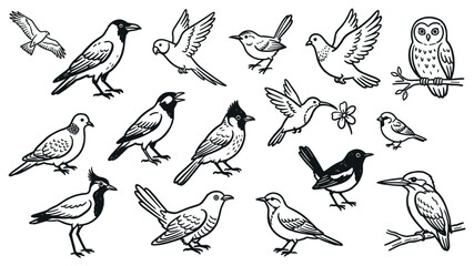 Obraz premium Various hand-drawn bird illustrations in black and white, showcasing different species and poses with a charming artistic style