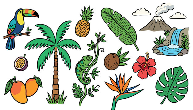 Colorful tropical nature elements including a toucan, palm tree, pineapple, and hibiscus flower in a cheerful doodle style