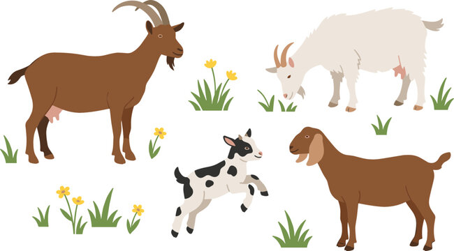 Domestic Farm Goat Vector Set with Brown Buck White Nanny Grazing Anglo Nubian and Spotted Kid Playfully Jumping on Meadow