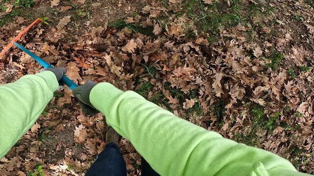 The process of raking fallen leaves with a rake. Worker rakes dry oak leaves in the park. Gardener removes leaves. First person view (POV). Spring or autumn garden cleaning. Work