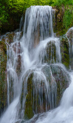 Fototapeta premium Tobera Burgos waterfall moss spring close-up view