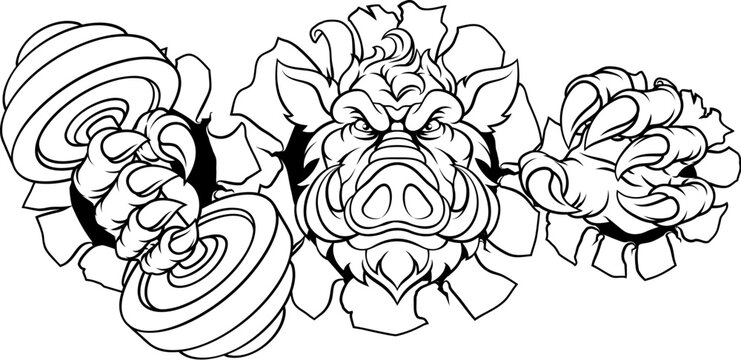 A wild boar, hog razorback warthog pig weight lifting trainer, exercise or body building gym cartoon sports mascot holding weights dumbbell