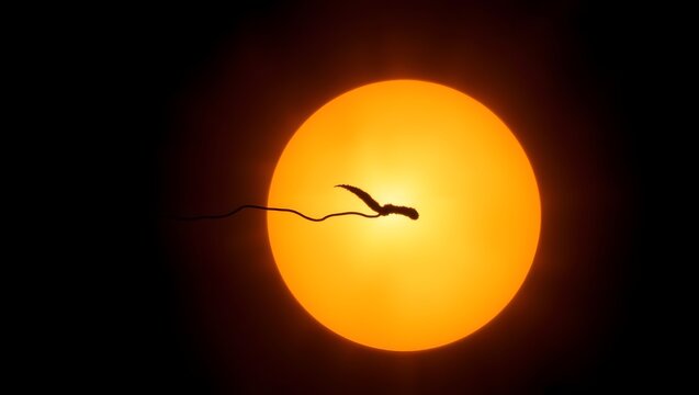 The Equatorial Firestorm &mdash; Multiple Solar Flares and Prominences Erupting from a Highly Active Solar Region