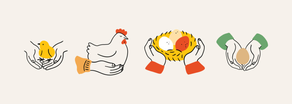Set hands holding hen, chicken, egg, nest. Local farmer hands, taking care of farm birds, eggs. Perfect for healthy food designs, poultry themes, or natural product concepts. Natural food, local farm.