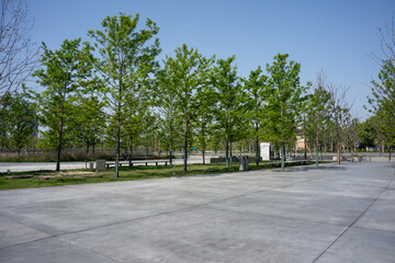Fototapeta premium park square shaded by green trees and concrete ground