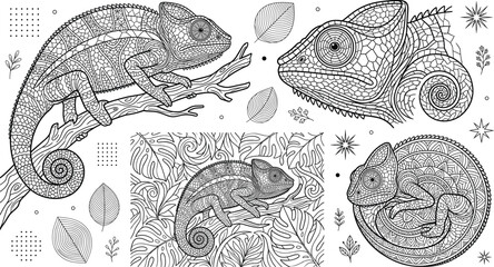 Detailed Chameleon Lizard Coloring Book Page Vector Set with Mandala Zentangle Patterns and Tropical Monstera Leaves © PJ DeSign