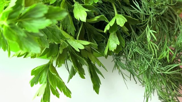 Fresh dill and parsley herbs close up, natural cooking ingredients and healthy food concept.