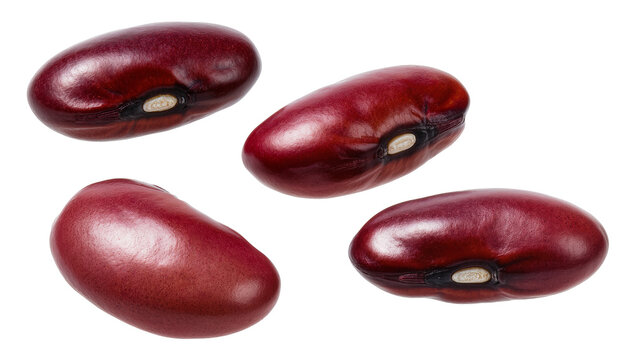 Four dark red kidney beans with visible hilum