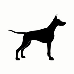 Fototapeta premium black dog silhouette