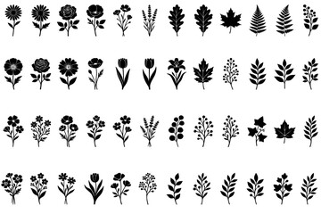 Fototapeta premium Minimalist Black Botanical Silhouettes of Flowers Leaves and Herbs