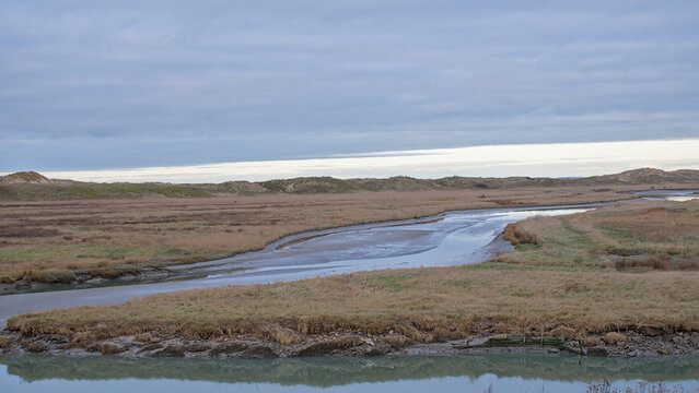 creek in a salt marsh with the sky reflecting in the water on the flemish coast in Het Zwin nature reserve, Knokke, Flanders, Belgium 