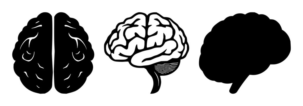 Brain synapse icon set with solid black design on white background featuring neurology, synapse, medical, iconography, vector