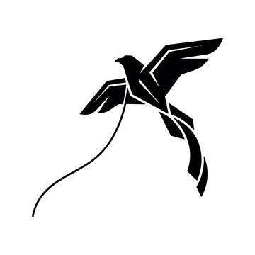 Black bird kite silhouette with tail flying bird white background