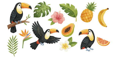 watercolor toucan collection © dian's
