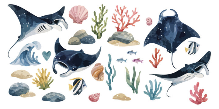 watercolor cute manta ray collection