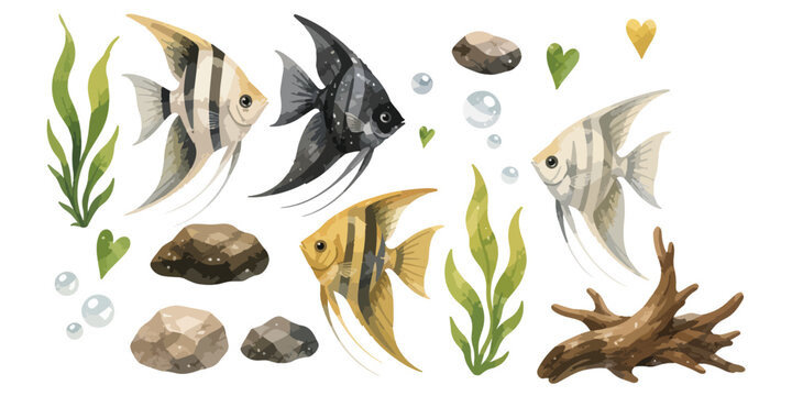 watercolor angelfish collection