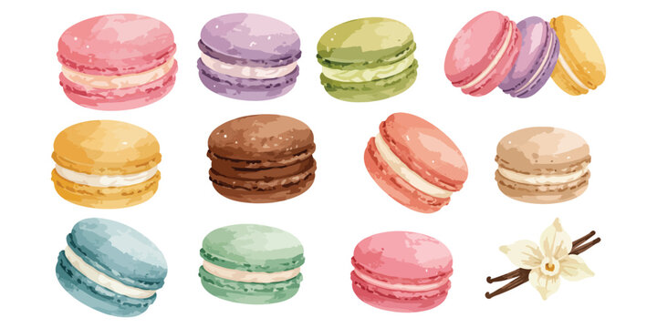 watercolor macaron dessert collection