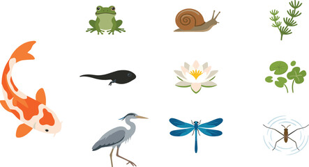 Fototapeta premium Freshwater Pond Wildlife and Aquatic Nature Icon Collection Featuring Koi Fish, Frog, Dragonfly, Water Lily, Snail, and Wetland Ecosystem Elements