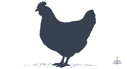 Hen, chicken. Vintage logo, retro print, poster for Butchery meat shop, hen silhouette. Logo template for meat business, meat shop. Isolated black silhouette hen, white background. Vector Illustration © foxysgraphic