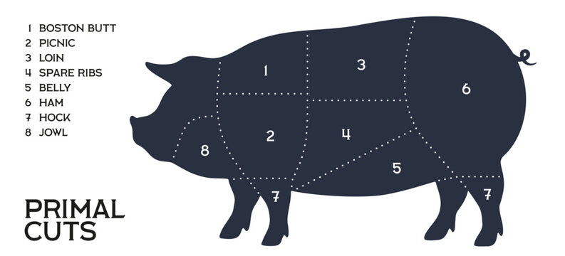 Pig chart, labeled pork silhouette, meat butcher icon. Pork meat cuts chart infographic, pig farm scheme, butcher brand. Butchery store pork banner, pig silhouette product. Vector Illustration