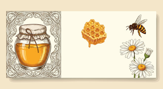 Vintage style label design for honey featuring a hand drawn jar honeycomb a honey bee and beautiful daisies.