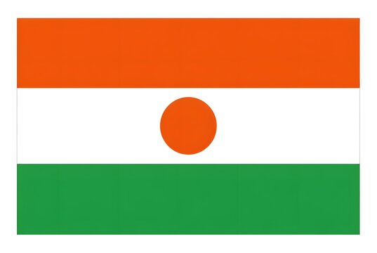 Niger flag displaying national colors and circular emblem on white background