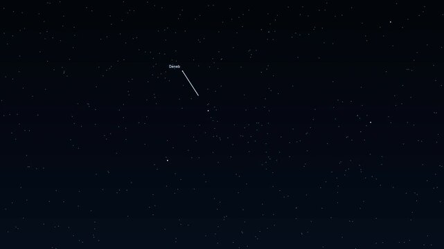 Cygnus Deneb Sadr Gienah Albireo Northern Cross constellation educational labeled animation accurate night sky star field map glowing golden lines connecting bright stars deep space astronomy cosmos