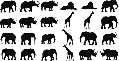 Wild animal silhouettes collection, elephant outline, rhinoceros figure design, lion posture icon, giraffe walking illustration, wildlife nature art motif © Fenshi