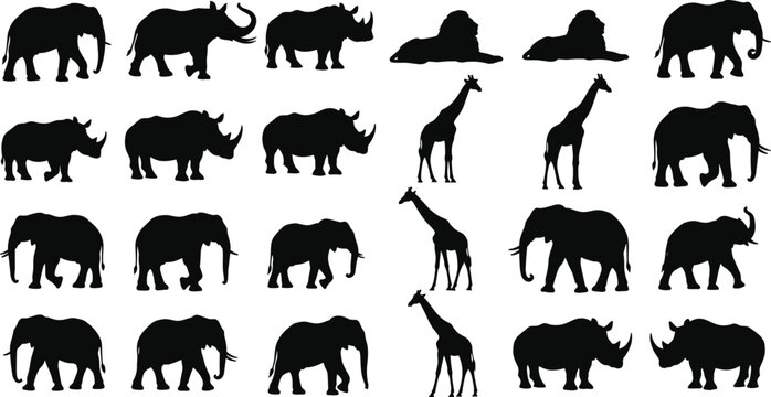 Wild animal silhouettes collection, elephant outline, rhinoceros figure design, lion posture icon, giraffe walking illustration, wildlife nature art motif