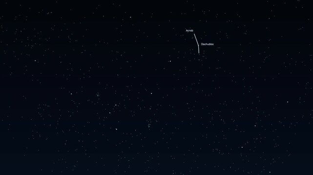 Scorpius Scorpio Antares Acrab Dschubba Shaula Sargas constellation educational labeled animation accurate night sky star field map glowing golden lines connecting bright stars deep space astronomy